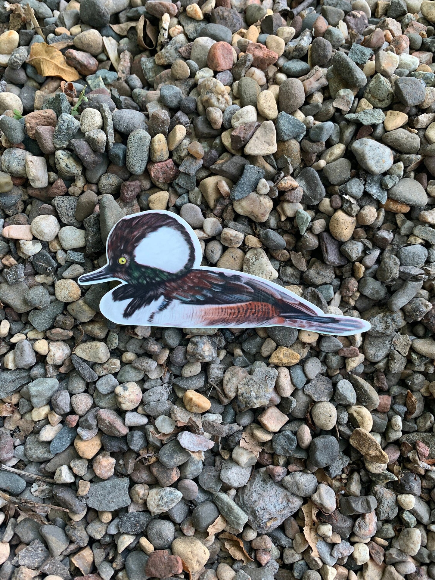 Hooded Merganser Sticker: Waterproof Duck Decal (3.7" x 1.5")