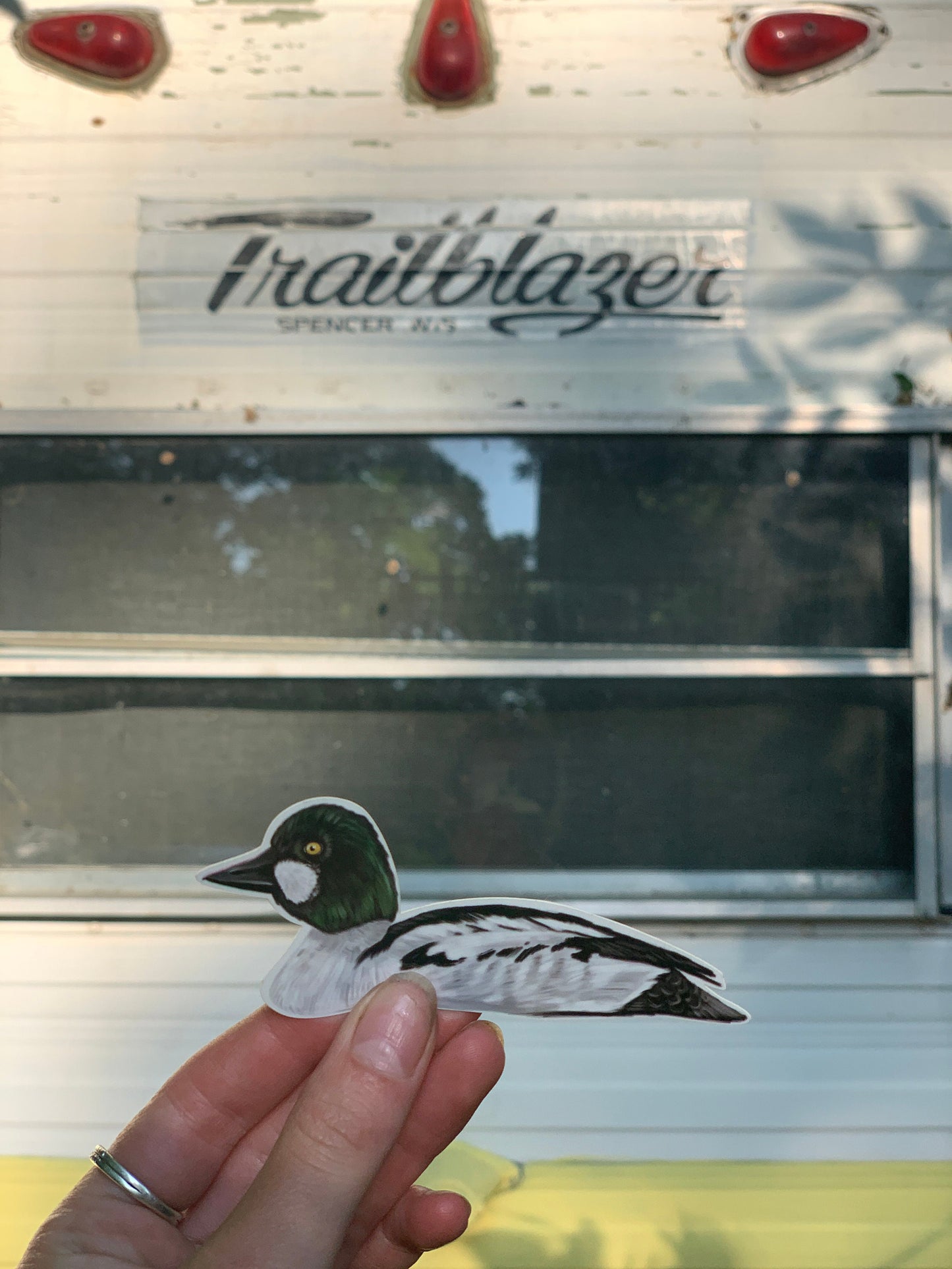 Goldeneye Duck Sticker: Waterproof Vinyl Decal (3.7" x 5.6")