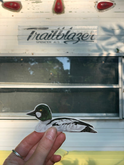 Goldeneye Duck Sticker: Waterproof Vinyl Decal (3.7" x 5.6")