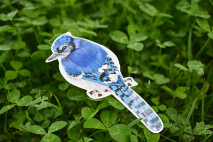 Bluejay Sticker: Hand-Drawn Waterproof Bird Decal