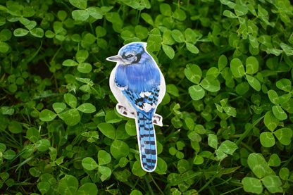 Bluejay Sticker: Hand-Drawn Waterproof Bird Decal