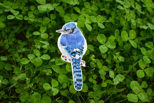 Bluejay Sticker: Hand-Drawn Waterproof Bird Decal