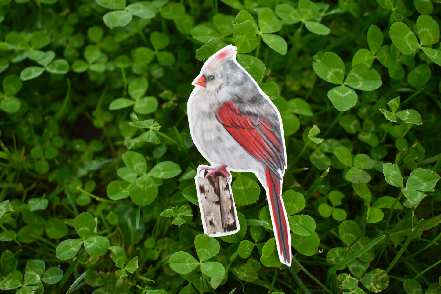 Female Cardinal Sticker: Waterproof Bird Decal