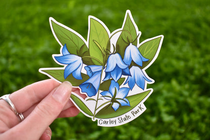 Bluebell Flower Sticker: Waterproof Carley State Park MN Decal