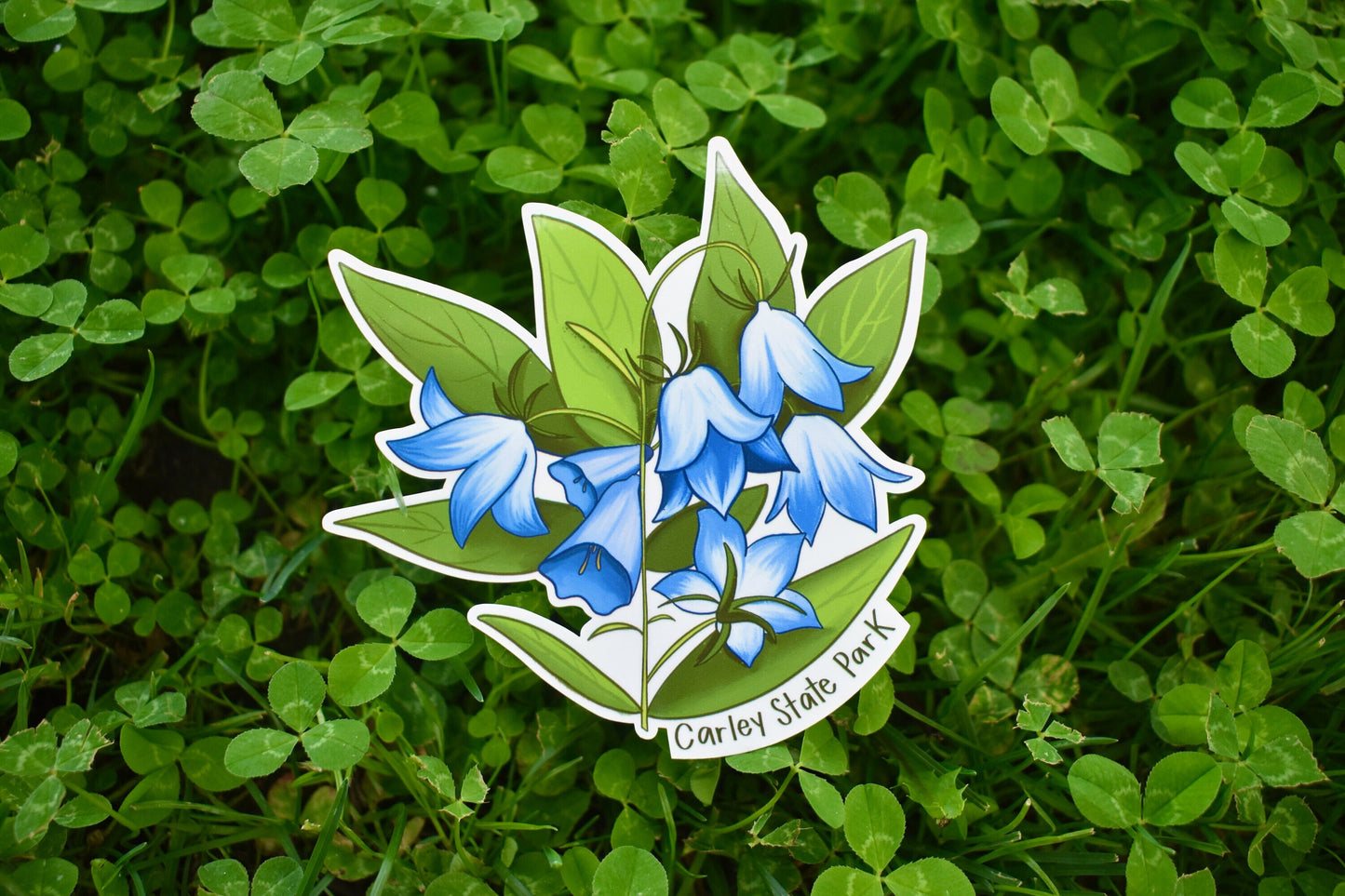 Bluebell Flower Sticker: Waterproof Carley State Park MN Decal