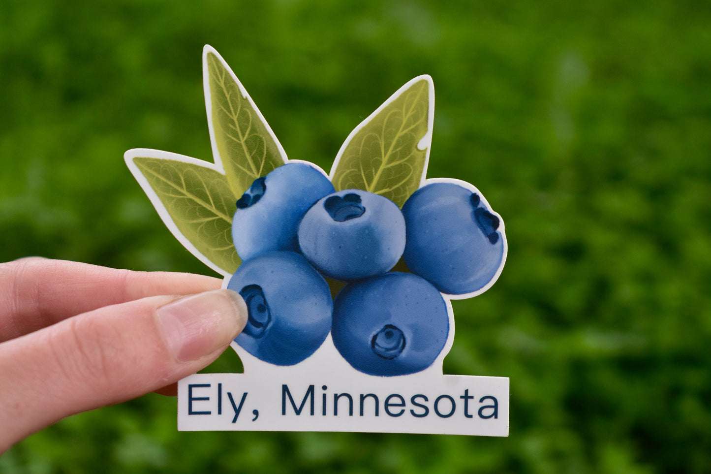 Blueberries Ely, Minnesota Sticker: Waterproof Travel Decal