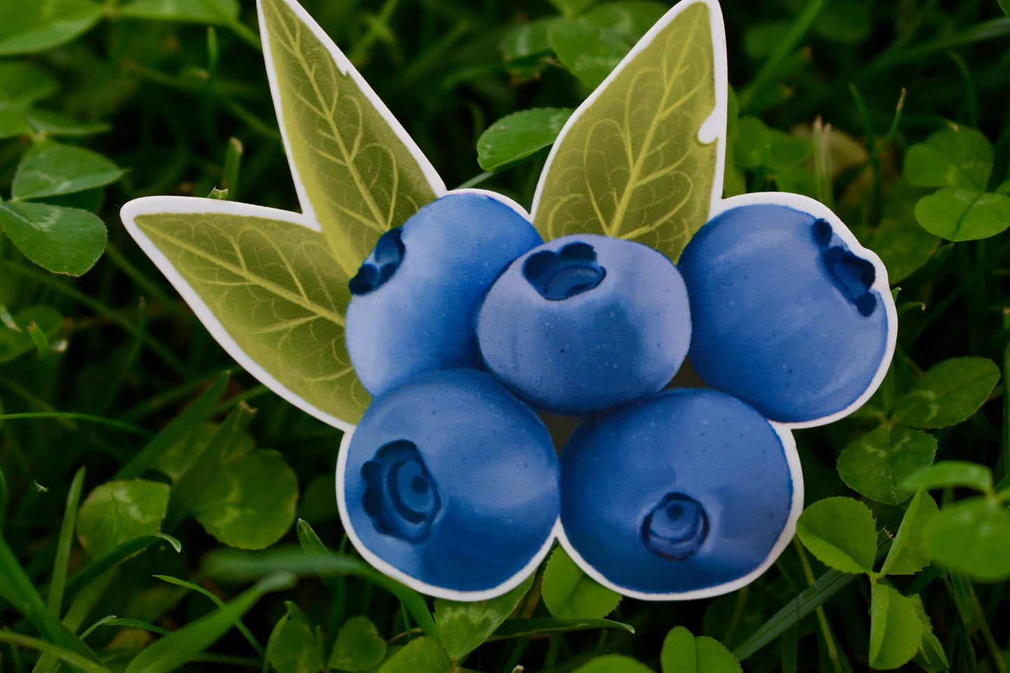 Blueberries Sticker: Waterproof Laptop Decal, Hand Illustrated
