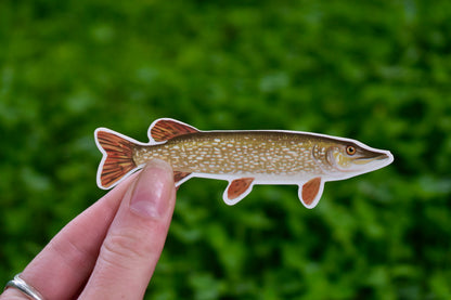 Northern Pike Sticker: Waterproof Fish Decal (3.6" x 1.2")