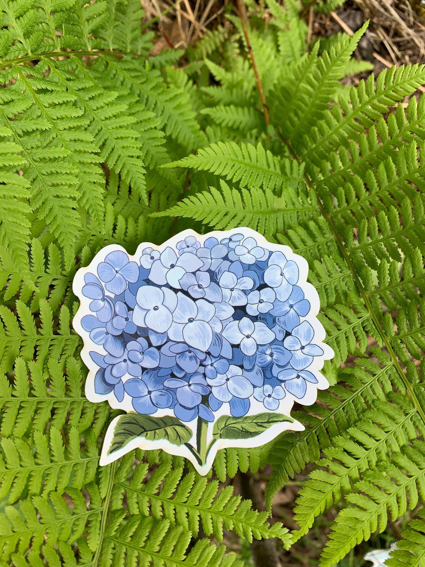 Waterproof Hydrangea Sticker: Hand-Drawn Floral Decal