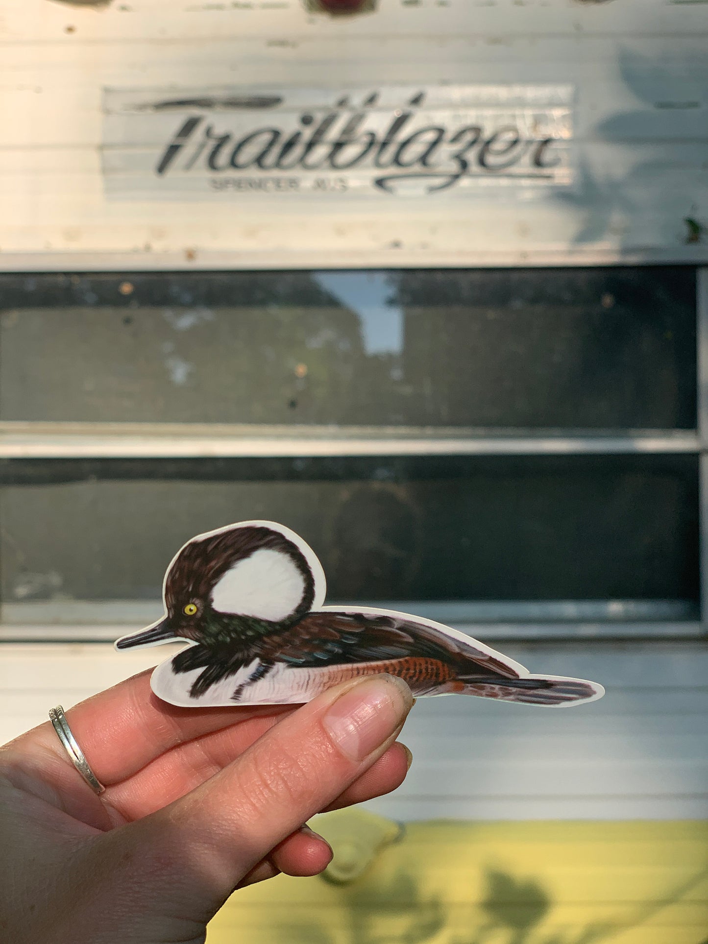 Hooded Merganser Sticker: Waterproof Duck Decal (3.7" x 1.5")