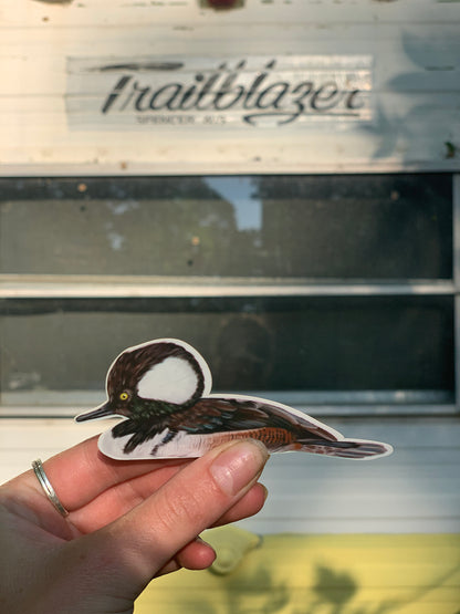 Hooded Merganser Sticker: Waterproof Duck Decal (3.7" x 1.5")
