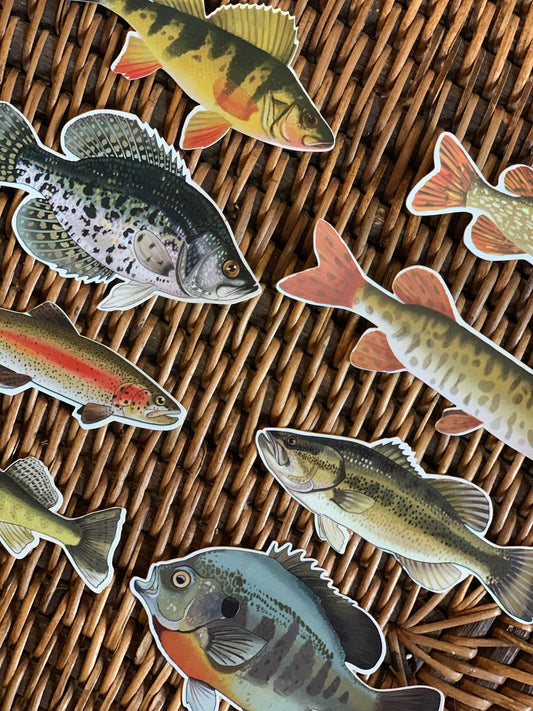 Fish Sticker Pack: Waterproof Fishing Decals, Hand-Drawn