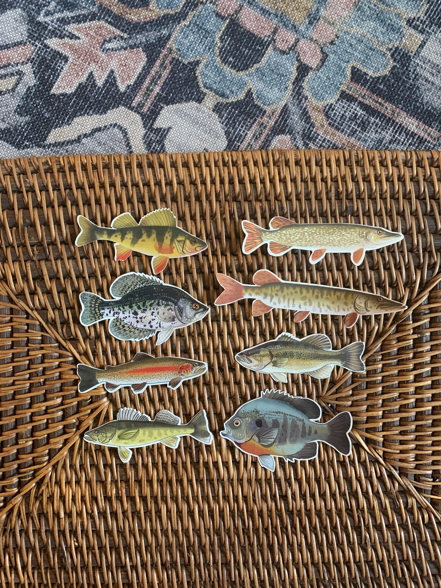 Fish Sticker Pack: Waterproof Fishing Decals, Hand-Drawn