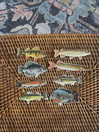 Fish Sticker Pack: Waterproof Fishing Decals, Hand-Drawn