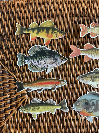 Fish Sticker Pack: Waterproof Fishing Decals, Hand-Drawn