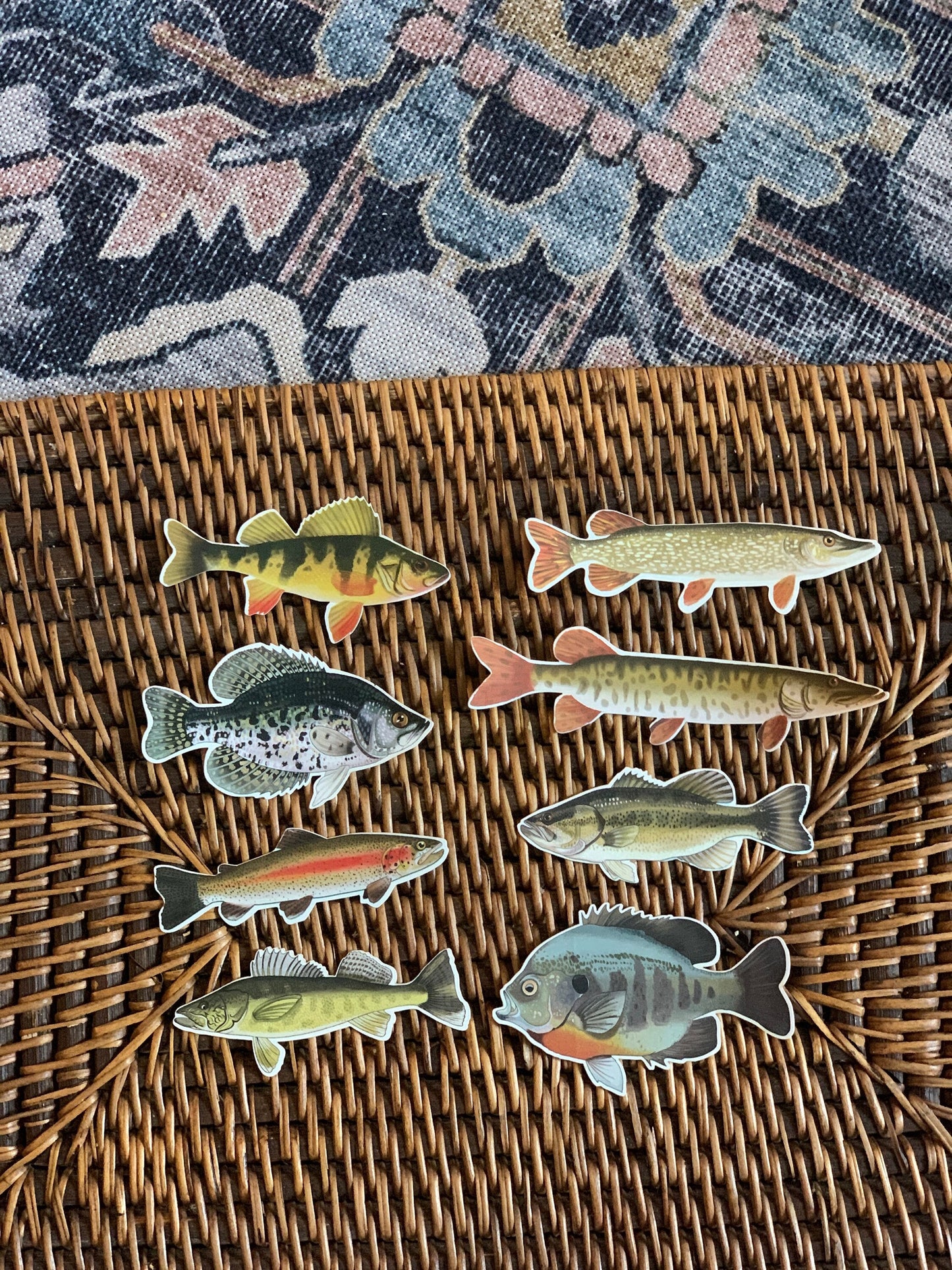 Fish Sticker Pack: Waterproof Fishing Decals, Hand-Drawn