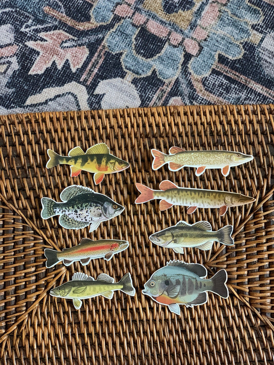 Fish Sticker Pack: Waterproof Fishing Decals, Hand-Drawn