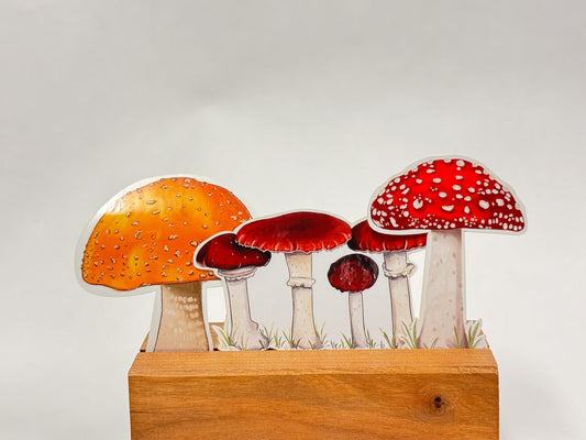 Mushroom Sticker Pack: Hand-Drawn Botanical Waterproof Stickers