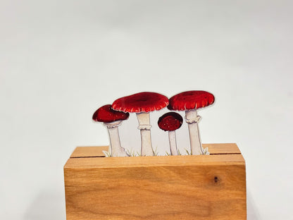 Mushroom Sticker Pack: Hand-Drawn Botanical Waterproof Stickers