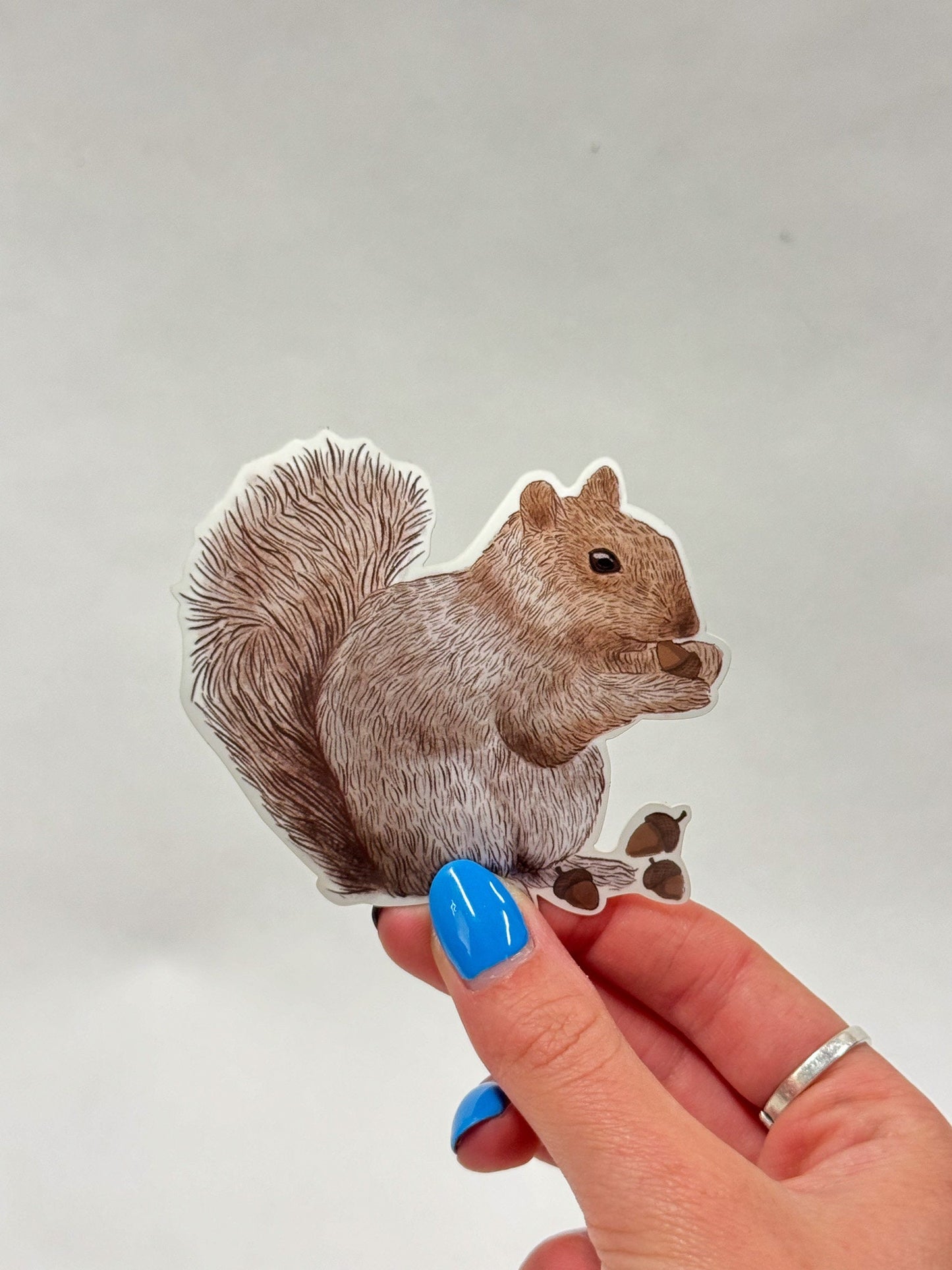 Hand-Drawn Squirrel Sticker: Waterproof Wildlife Decal