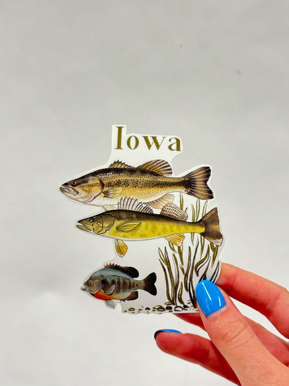 Iowa Fish Sticker: Hand-Drawn Waterproof Fishing Decal