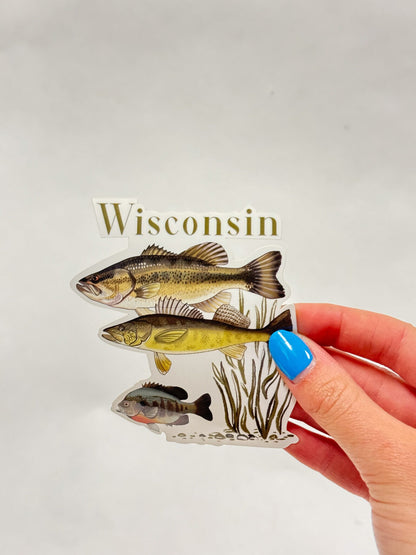 Wisconsin Fish Sticker: Hand-Drawn Waterproof Fishing Decal