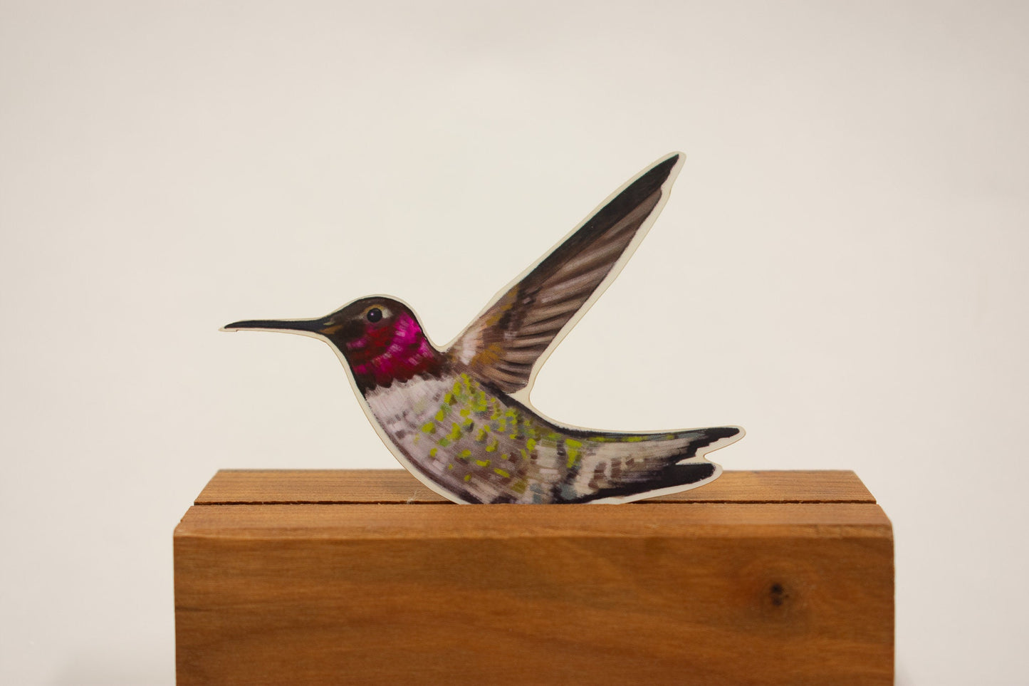 Hummingbird Sticker | Waterproof Decal, Hand-Drawn Bird Art