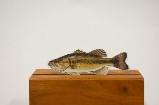 Largemouth Bass Sticker: Waterproof Fish Decal for Laptop