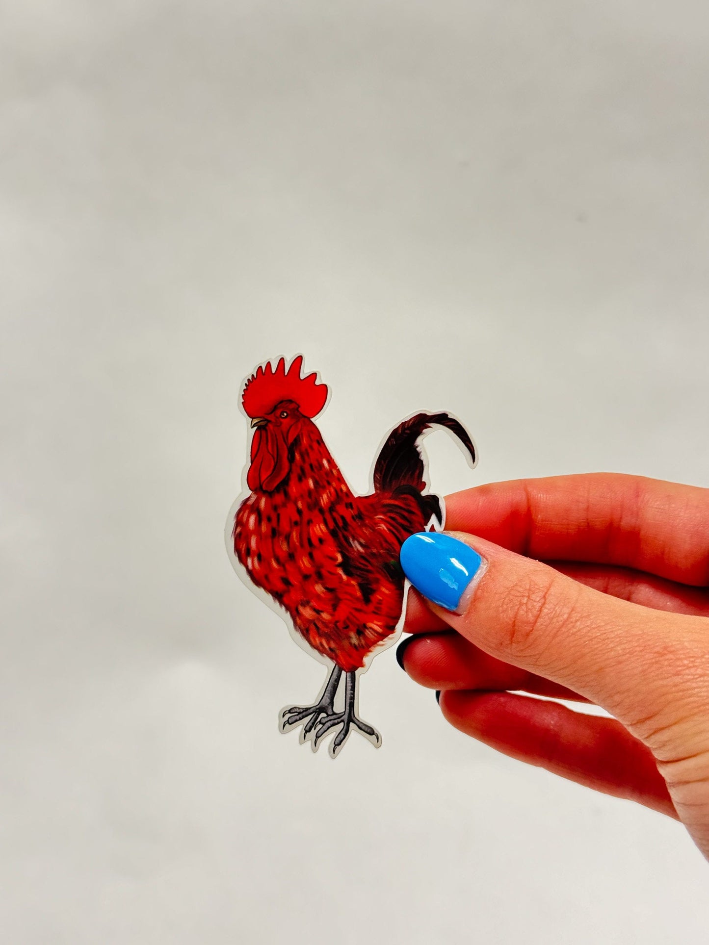 Red Rooster Sticker: Waterproof Farm Animal Decal