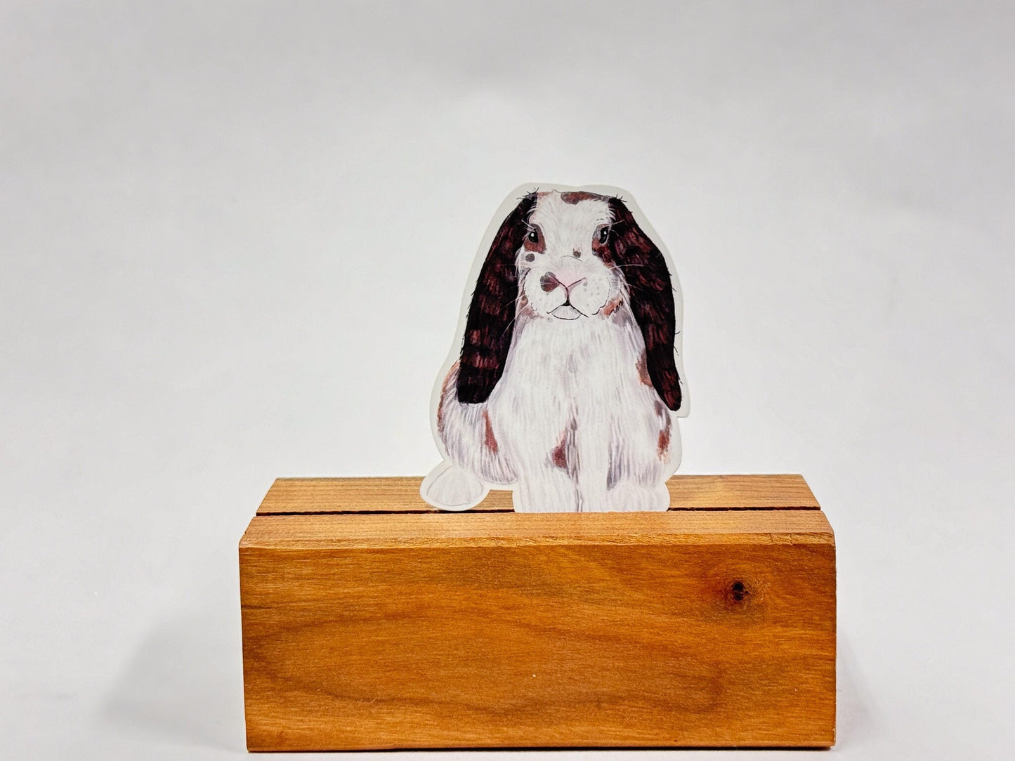 Birch the Rabbit Sticker: Waterproof Lop Eared Bunny Decal