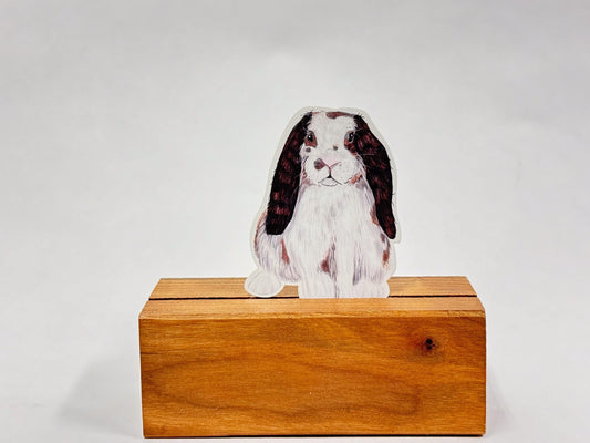 Birch the Rabbit Sticker: Waterproof Lop Eared Bunny Decal
