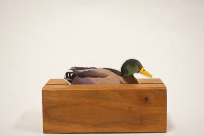 Mallard Duck Sticker: Waterproof Decal, Laptop, Water Bottle