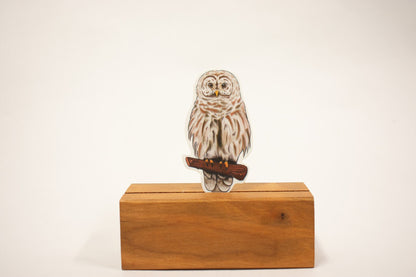 Owl Sticker: Waterproof Wildlife Decal