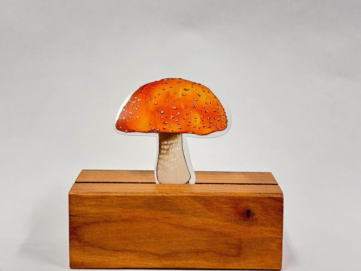 Mushroom Sticker Pack: Hand-Drawn Botanical Waterproof Stickers