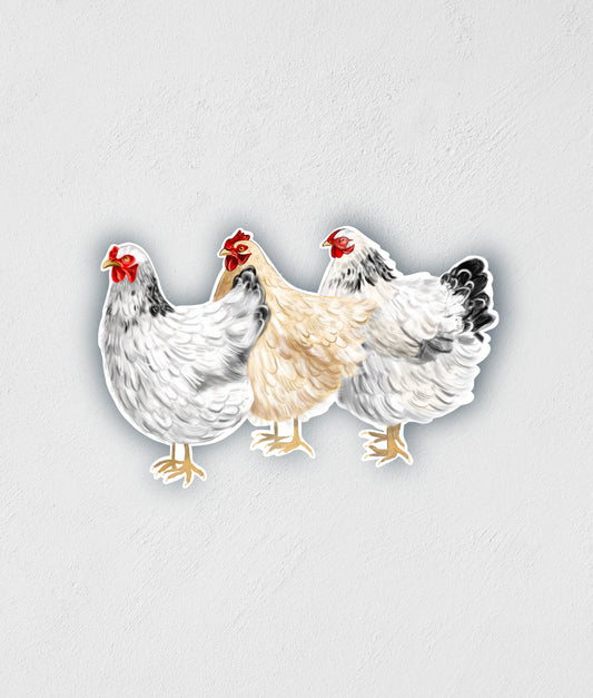 3 Chickens Sticker: Waterproof Farm Animal Decal