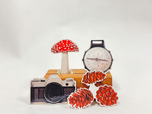 Explore Sticker Pack: Waterproof Nature Stickers