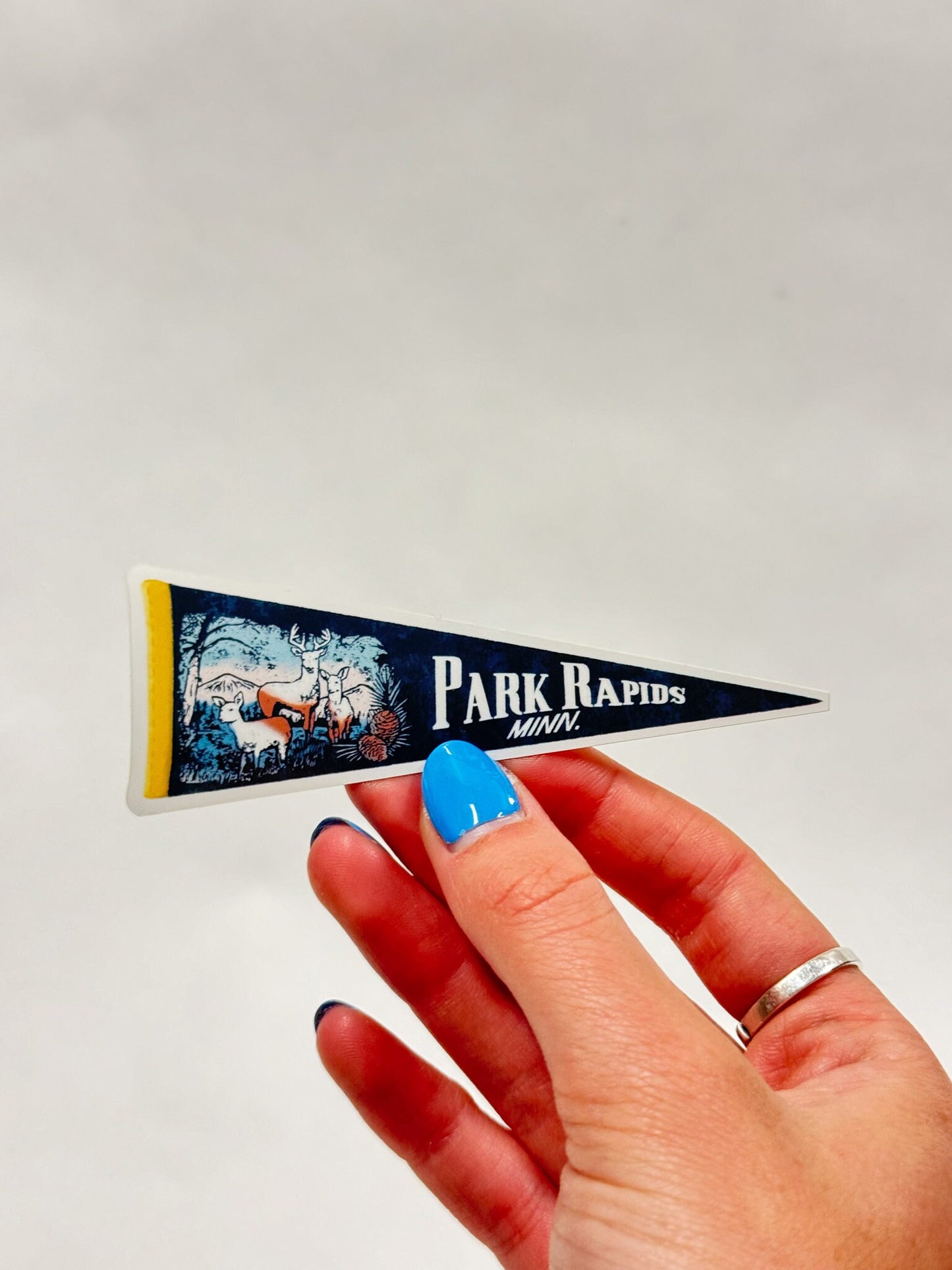 Park Rapids Minnesota Pennant Sticker: Vintage MN Destination Decal
