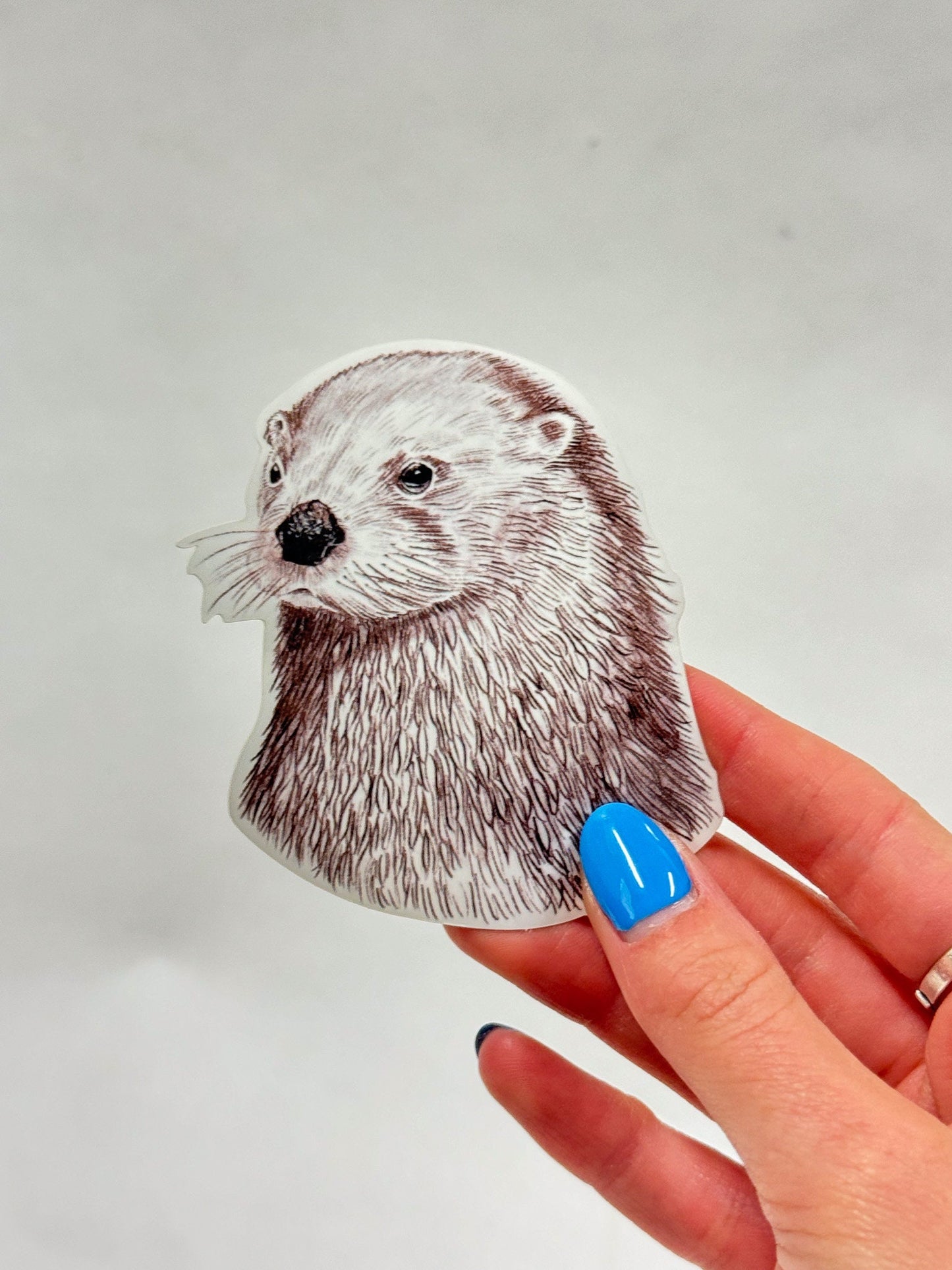 River Otter Sticker: Hand-Drawn Waterproof Decal (3")
