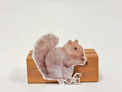 Hand-Drawn Squirrel Sticker: Waterproof Wildlife Decal