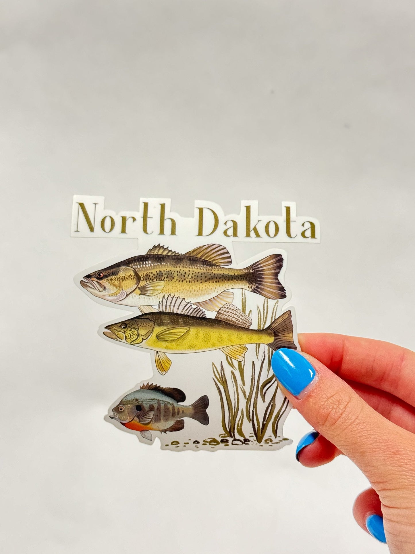 North Dakota Fish Sticker: Hand-Drawn Midwest Fishing Decal