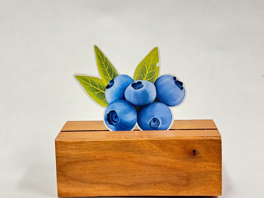 Blueberries Sticker: Waterproof Laptop Decal, Hand Illustrated