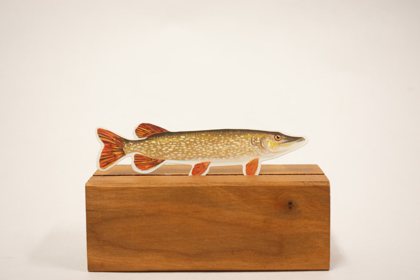 Northern Pike Sticker: Waterproof Fish Decal (3.6" x 1.2")