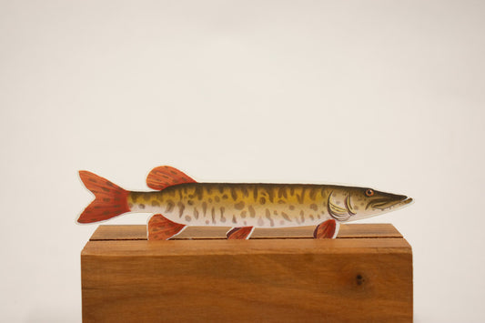 Barred Musky Sticker: Waterproof Fish Decal