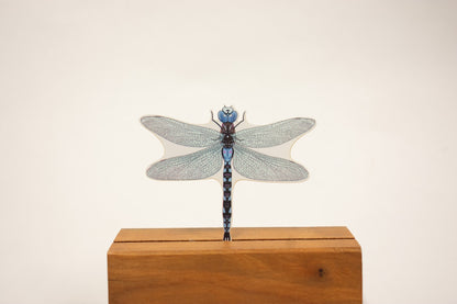 Dragonfly Sticker: Waterproof Outdoorsy Decal