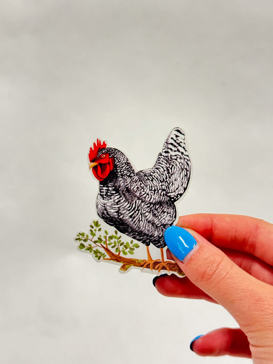Black and White Hen Sticker: Waterproof Farm Animal Decal