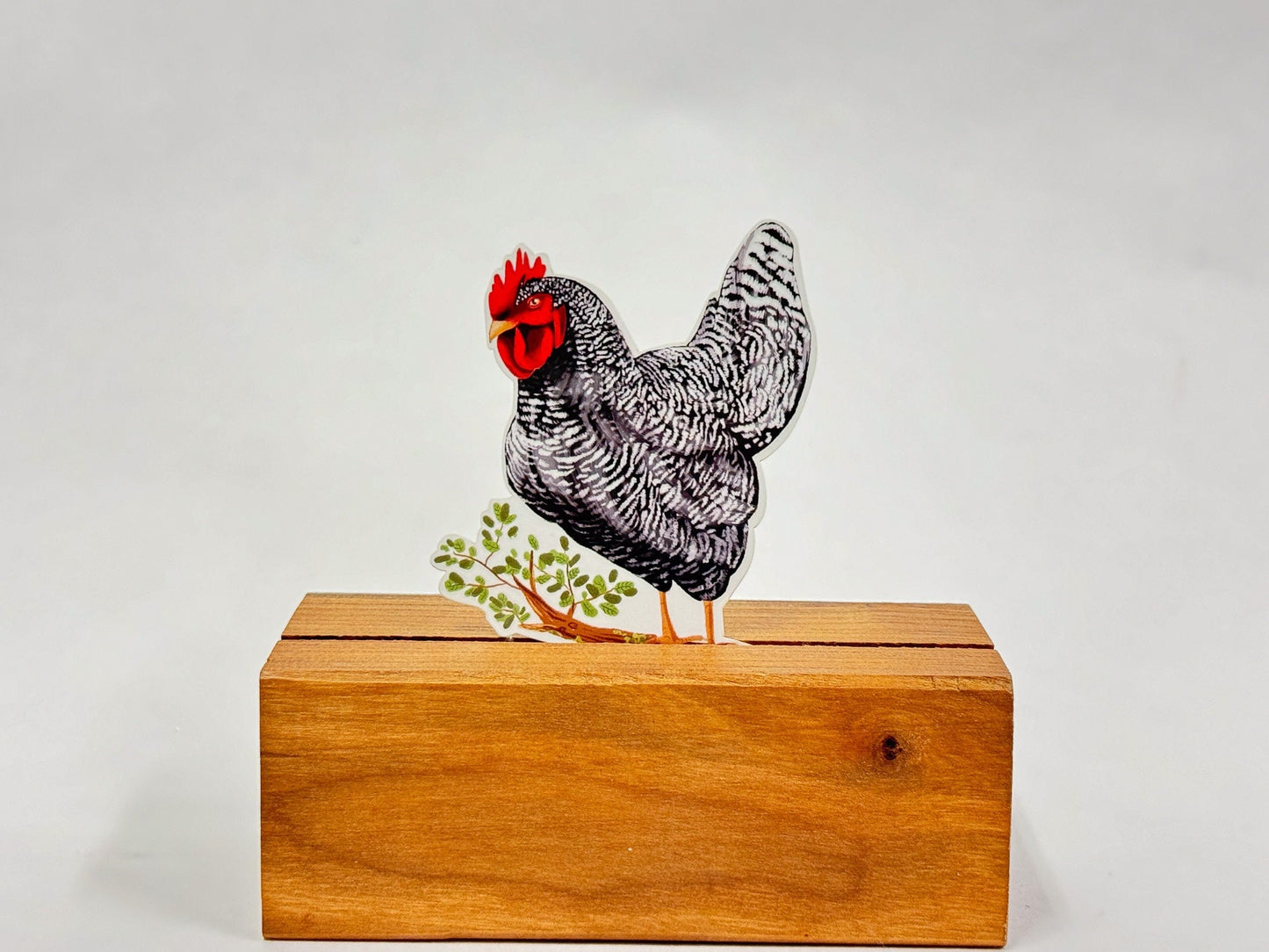 Black and White Hen Sticker: Waterproof Farm Animal Decal