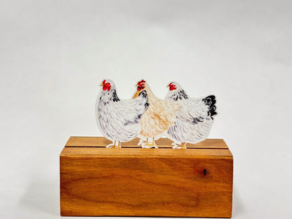 3 Chickens Sticker: Waterproof Farm Animal Decal