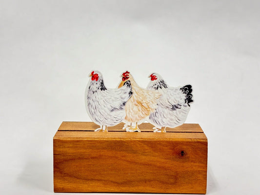 3 Chickens Sticker: Waterproof Farm Animal Decal