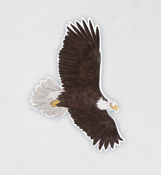 Bald Eagle Sticker: Hand-Drawn Waterproof Decal (3" x 2")