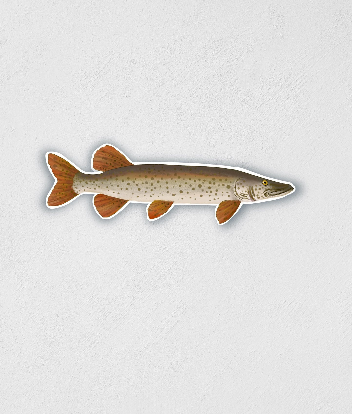 Spotted Musky Fish Sticker: Waterproof Decal, Laptop, Gear